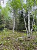 Pt 1, Plan 53R-20016 River Rd | Sables-Spanish Rivers Ontario | Slide Image Twelve