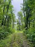 Pt 1, Plan 53R-20016 River Rd | Sables-Spanish Rivers Ontario | Slide Image Thirty