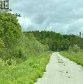 Pt 1, Plan 53R-20016 River Rd | Sables-Spanish Rivers Ontario | Slide Image Eight