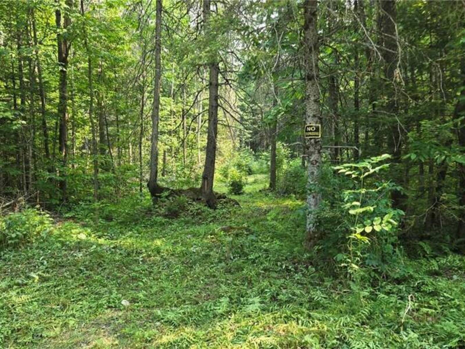 0 Lemieux Road, French River, Ontario P0M 2K0