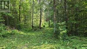 0 Lemieux Road | French River Ontario | Slide Image One