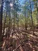 Lot 12 Lake Huron Drive | Manitoulin Island Ontario | Slide Image Twenty
