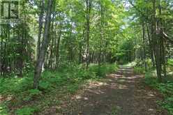 272 PERRY AVE | Killarney Ontario | Slide Image Seventeen