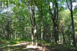 272 PERRY AVE | Killarney Ontario | Slide Image Nine