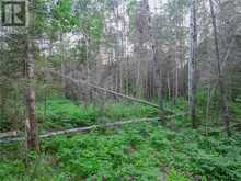 382 Old Webbwood Road Unit# Lot 1 | Sables-Spanish Rivers Ontario | Slide Image Ten