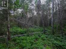 382 Old Webbwood Road Unit# Lot 1 | Sables-Spanish Rivers Ontario | Slide Image Twelve