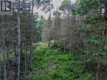 382 Old Webbwood Road Unit# Lot 1 | Sables-Spanish Rivers Ontario | Slide Image Five