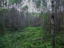 382 Old Webbwood Road Unit# Lot 1 | Sables-Spanish Rivers Ontario | Slide Image Six