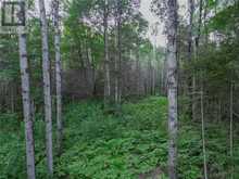 382 Old Webbwood Road Unit# Lot 1 | Sables-Spanish Rivers Ontario | Slide Image Seven