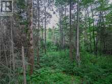 382 Old Webbwood Road Unit# Lot 1 | Sables-Spanish Rivers Ontario | Slide Image Eight