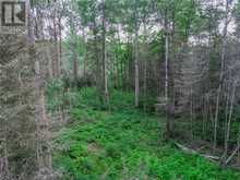 382 Old Webbwood Road Unit# Lot 1 | Sables-Spanish Rivers Ontario | Slide Image Nine