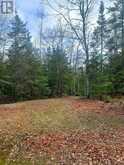 185 Baker Trail | Central Manitoulin Ontario | Slide Image Eleven