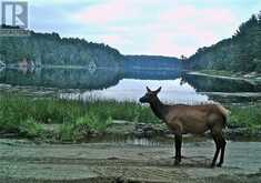 5482 Hwy 64 | French River Ontario | Slide Image Eighty