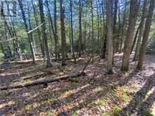 7 Sandy Point | Assiginack Ontario | Slide Image Sixteen