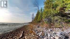 7 Sandy Point | Assiginack Ontario | Slide Image Two