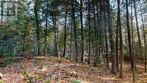 7 Sandy Point | Assiginack Ontario | Slide Image Nine