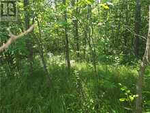 N/A 4th Line | Manitoulin Island Ontario | Slide Image Ten