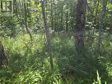 N/A 4th Line | Manitoulin Island Ontario | Slide Image Two