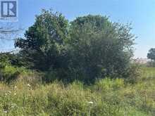 LT 84 Limberlost Lane | Central Manitoulin Ontario | Slide Image Five