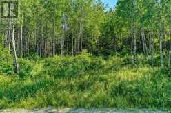 0 Husky Trail Road | Markstay-Warren Ontario | Slide Image Three