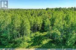 0 Husky Trail Road | Markstay-Warren Ontario | Slide Image Four