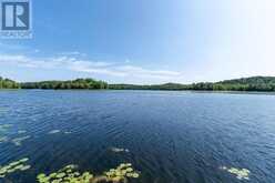 Lot 3 Island Road | Greater Sudbury Ontario | Slide Image Five