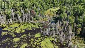 N/A Hwy 17/Beckerton Shooting Range Rd | Spanish Ontario | Slide Image Ten