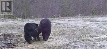 N/A Hwy 17/Beckerton Shooting Range Rd | Spanish Ontario | Slide Image Thirteen