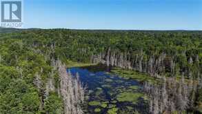 N/A Hwy 17/Beckerton Shooting Range Rd | Spanish Ontario | Slide Image One