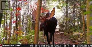 N/A Hwy 17/Beckerton Shooting Range Rd | Spanish Ontario | Slide Image Two