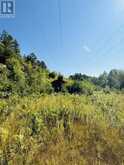 N/A Hwy 17/Beckerton Shooting Range Rd | Spanish Ontario | Slide Image Forty-eight