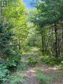N/A Hwy 17/Beckerton Shooting Range Rd | Spanish Ontario | Slide Image Forty-nine