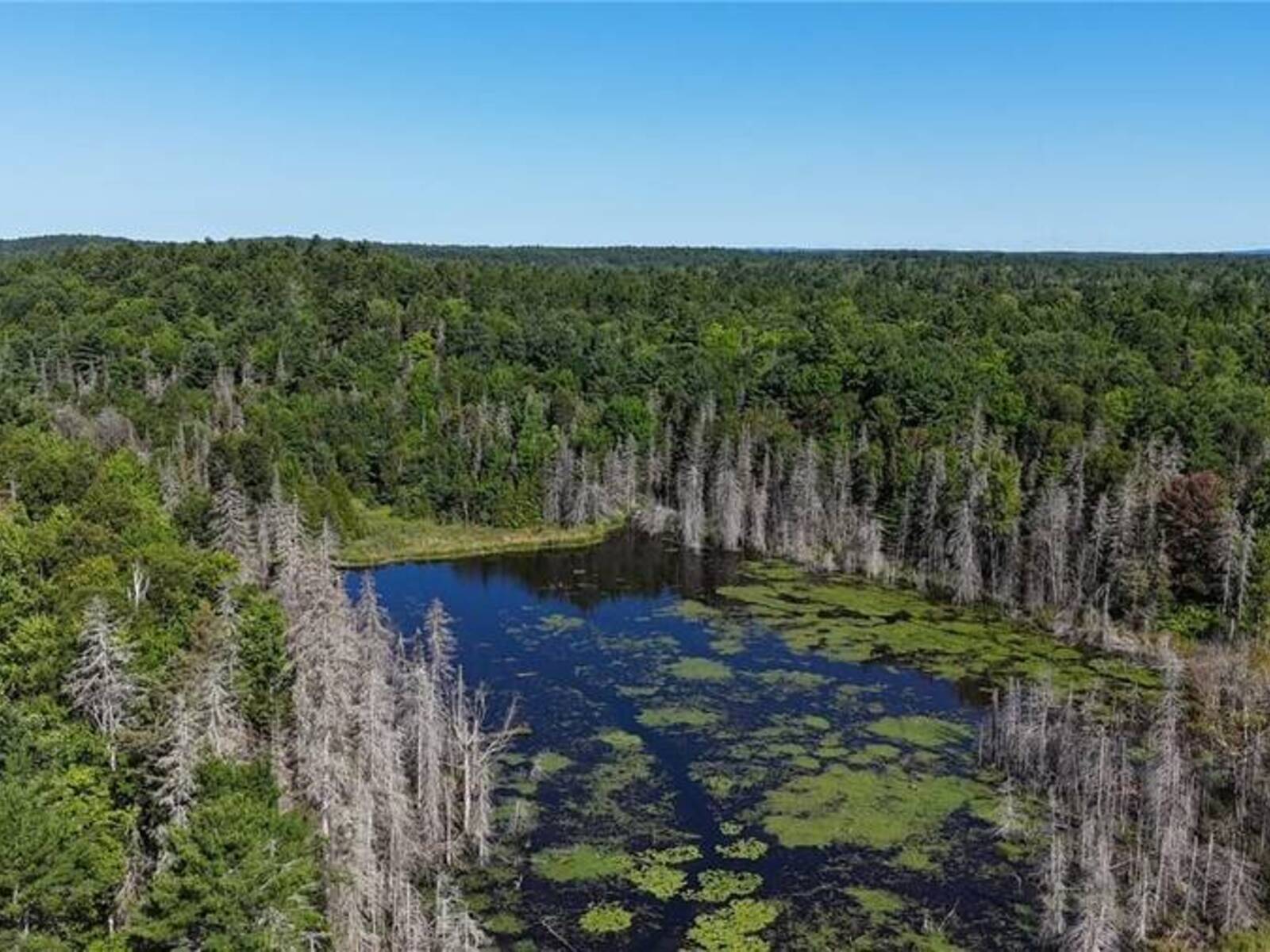 N/A Hwy 17/Beckerton Shooting Range Rd, Spanish, Ontario P0P 2A0