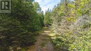 N/A Little Lake Huron Road | Manitoulin Island Ontario | Slide Image Twenty-six