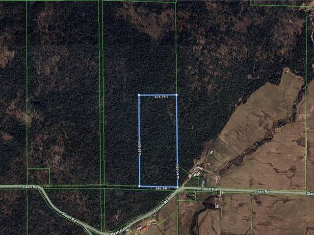 PT Lot 6 Con 14 Slash Rd Assiginack Ontario, P0P 2C0 - Vacant Land For Sale