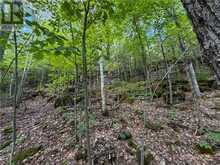 N/A McArthur Trail | Manitoulin Island Ontario | Slide Image Ten