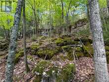 N/A McArthur Trail | Manitoulin Island Ontario | Slide Image Eleven
