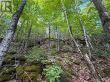 N/A McArthur Trail | Manitoulin Island Ontario | Slide Image Thirteen