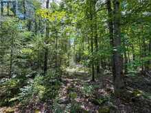 N/A McArthur Trail | Manitoulin Island Ontario | Slide Image Fifteen