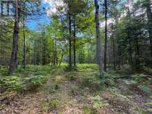 N/A McArthur Trail | Manitoulin Island Ontario | Slide Image Two