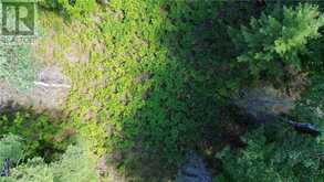 N/A McArthur Trail | Manitoulin Island Ontario | Slide Image Seven