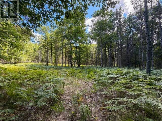 N/A McArthur Trail Manitoulin Island Ontario, P0P 1H0 - Vacant Land For Sale