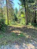 PL6-7C1 Robinson Pebble Road | Manitoulin Island Ontario | Slide Image Six