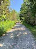 PL6-7C1 Robinson Pebble Road | Manitoulin Island Ontario | Slide Image Seven