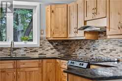 20 Delia | Greater Sudbury Ontario | Slide Image Thirteen