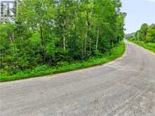1201 Basswood Lake Road | Thessalon Ontario | Slide Image Seventeen