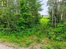 1201 Basswood Lake Road | Thessalon Ontario | Slide Image Twenty-five