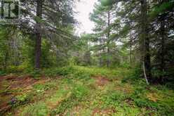 556 Lorne Falls | Greater Sudbury Ontario | Slide Image Four