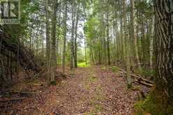 556 Lorne Falls | Greater Sudbury Ontario | Slide Image Eight