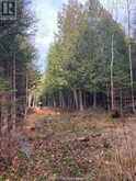 20751 Highway 6 | Central Manitoulin Ontario | Slide Image Ten